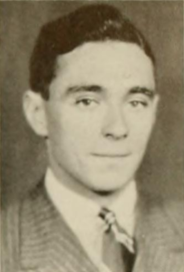 Jerome Bruner image